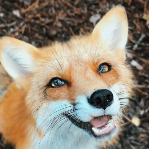 User profile image